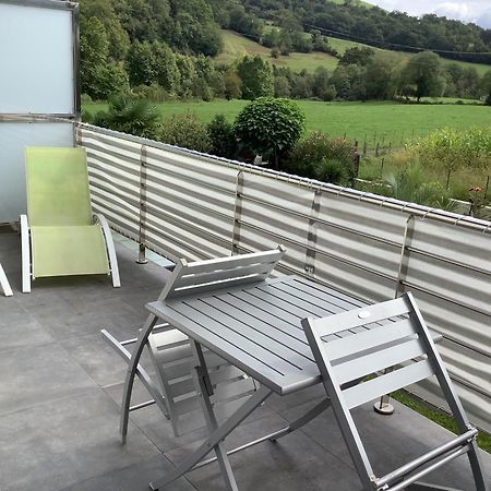 סן-ז'אן-פייה-דה-פור Gites Vue Montagne St Jean Pied De Port Pays Basque מראה חיצוני תמונה