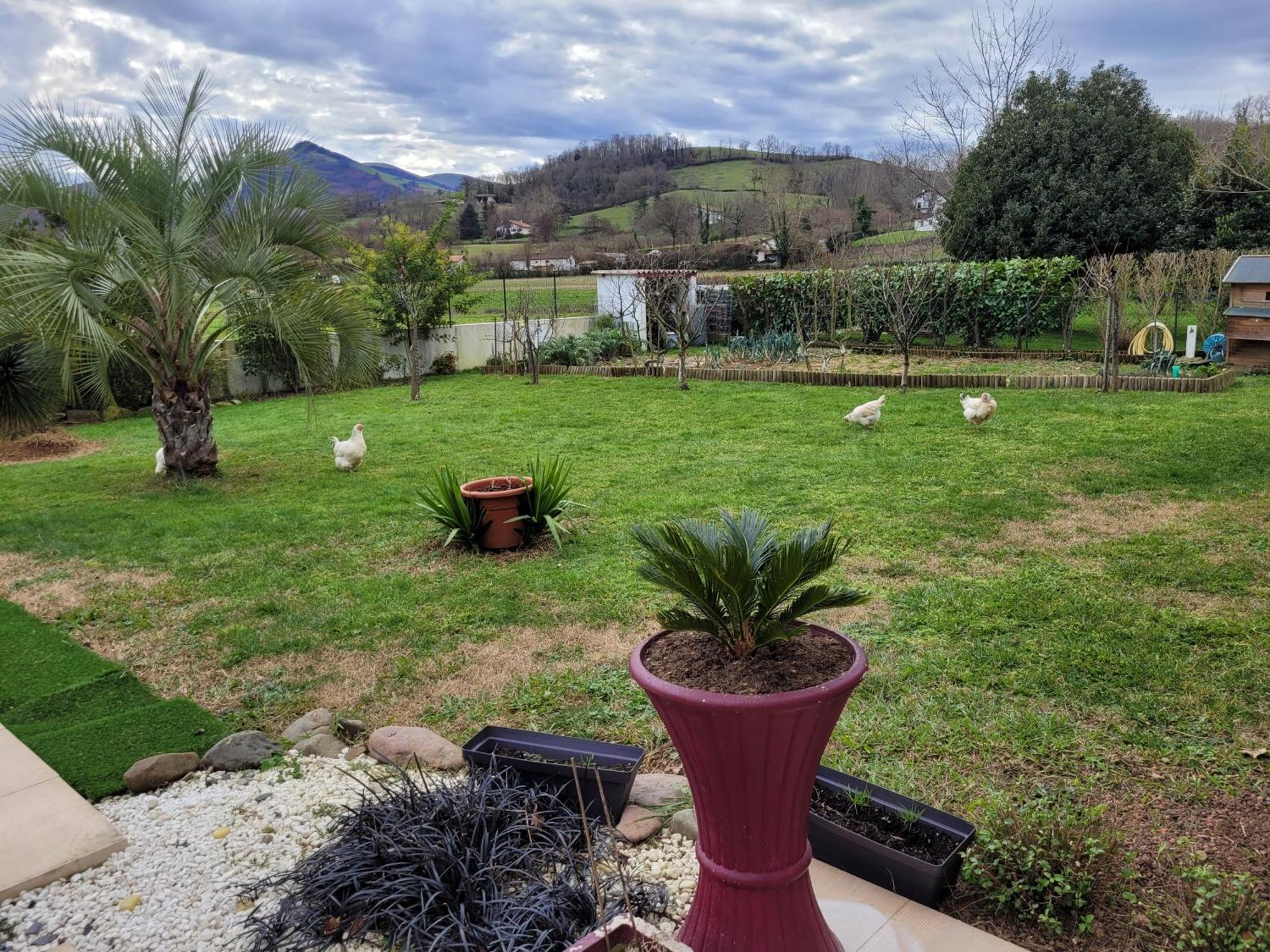 סן-ז'אן-פייה-דה-פור Gites Vue Montagne St Jean Pied De Port Pays Basque מראה חיצוני תמונה